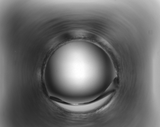 X0000088720825200706071618