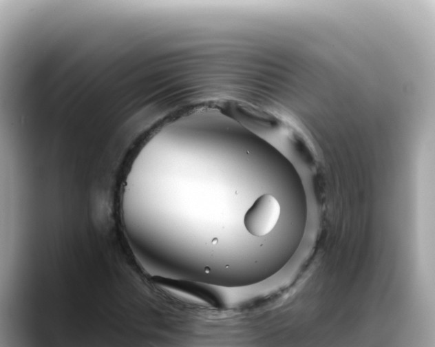 X0000088720826200706071618