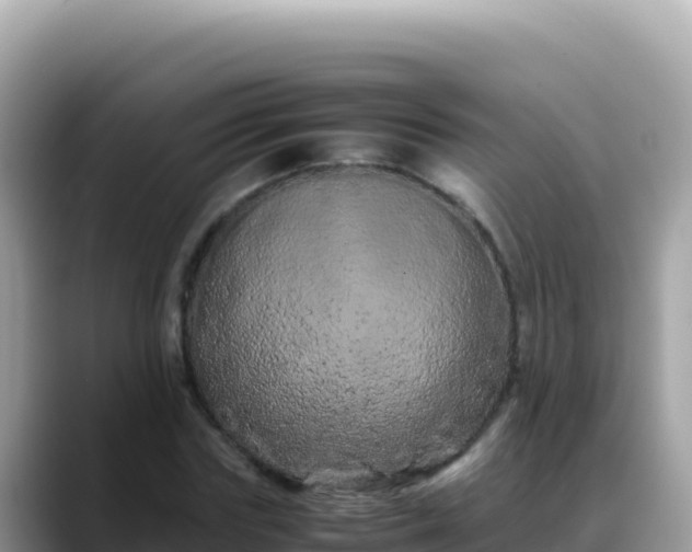 X0000088720827200706071618