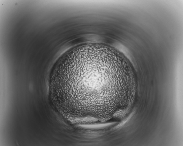 X0000088720829200706071618