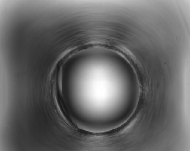 X0000088720830200706071618