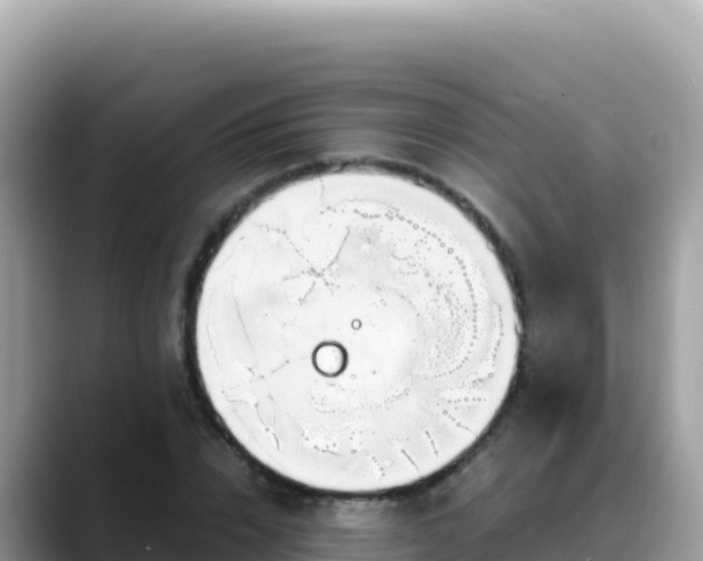 X0000088720832200706071618