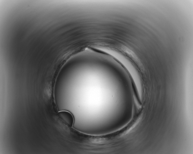 X0000088720833200706071618