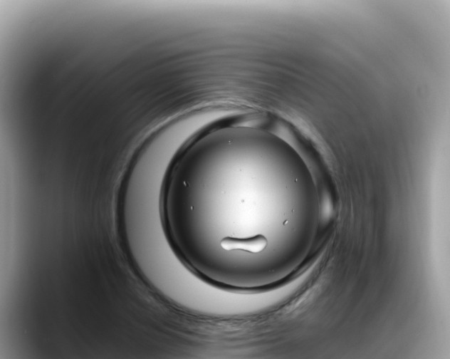 X0000088720834200706071618