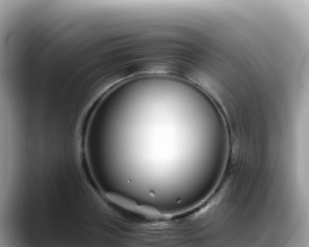 X0000088720835200706071618