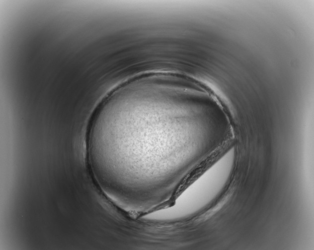 X0000088720837200706071618