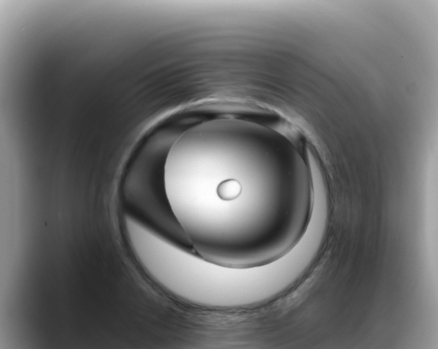 X0000088720838200706071618