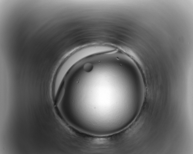 X0000088720839200706071618