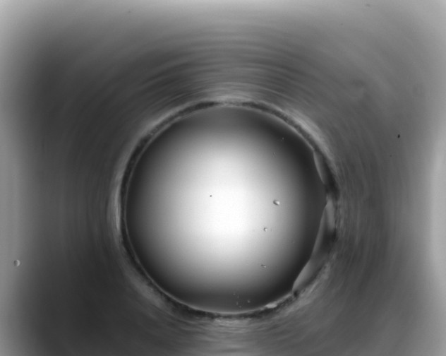 X0000088720840200706071618