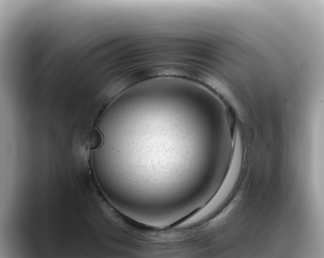 X0000088720841200706071618