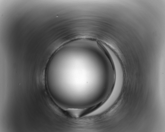 X0000088720842200706071618