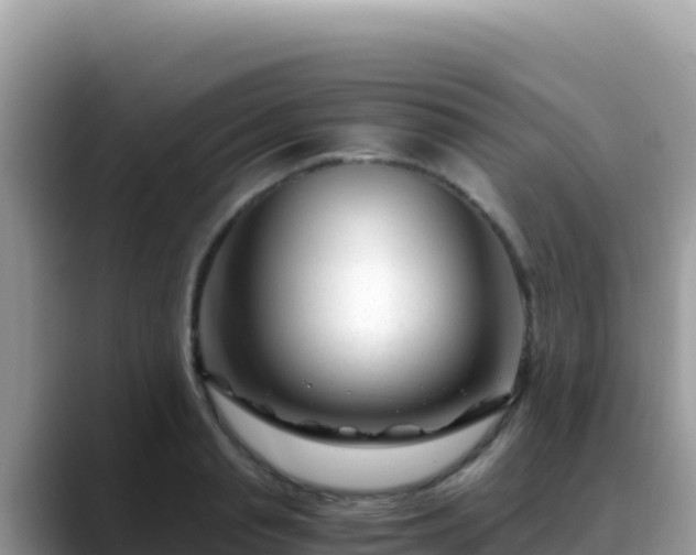 X0000088720845200706071618