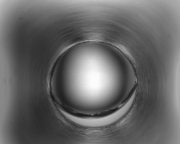 X0000088720846200706071618