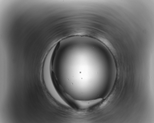 X0000088720850200706071618