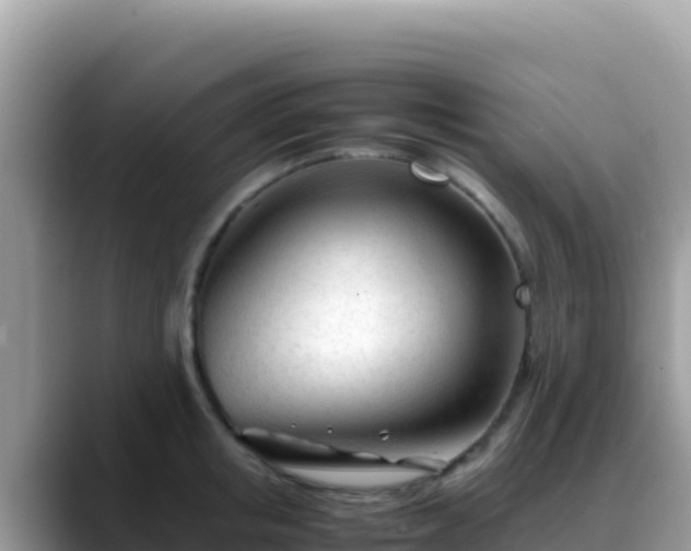 X0000088720853200706071618