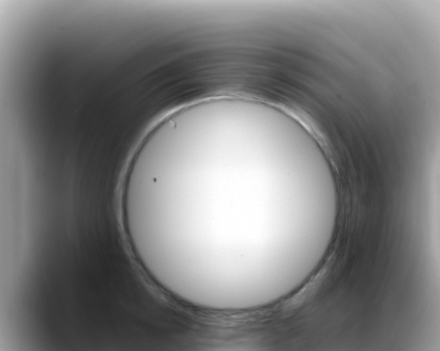 X0000088720854200706071618