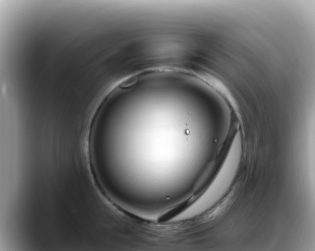 X0000088720855200706071618