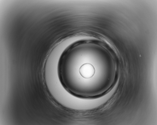 X0000088720858200706071618