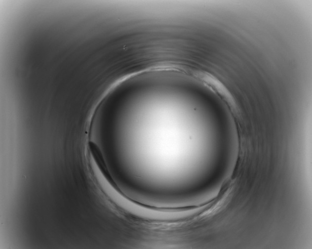 X0000088720860200706071618