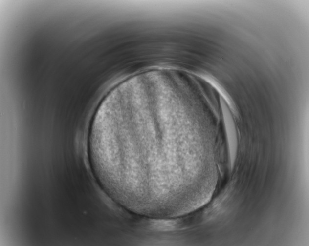 X0000088720861200706071618