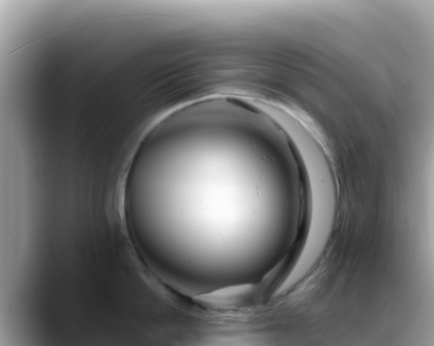 X0000088720862200706071618