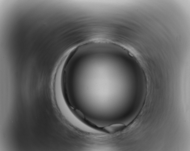 X0000088720864200706071618