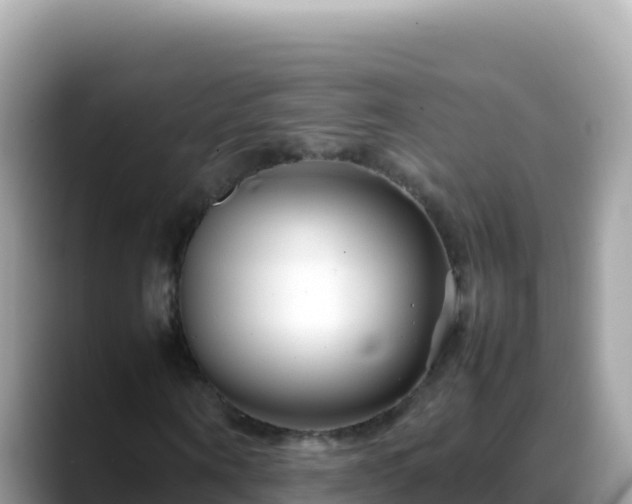 X0000088720866200706071618