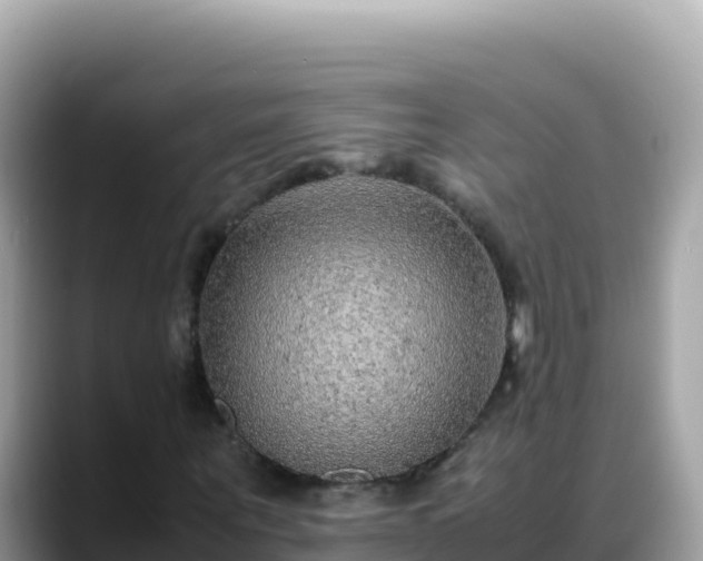 X0000088720867200706071618