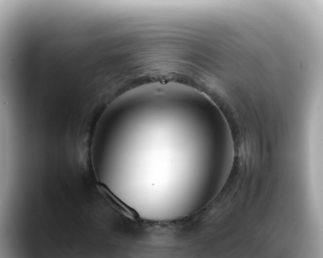 X0000088720868200706071618