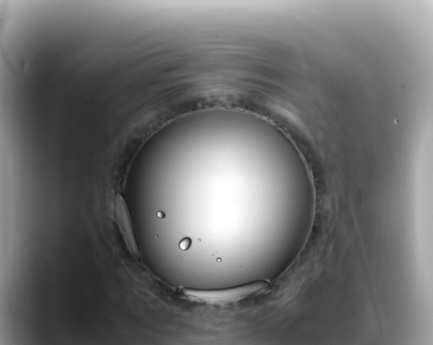 X0000088720869200706071618