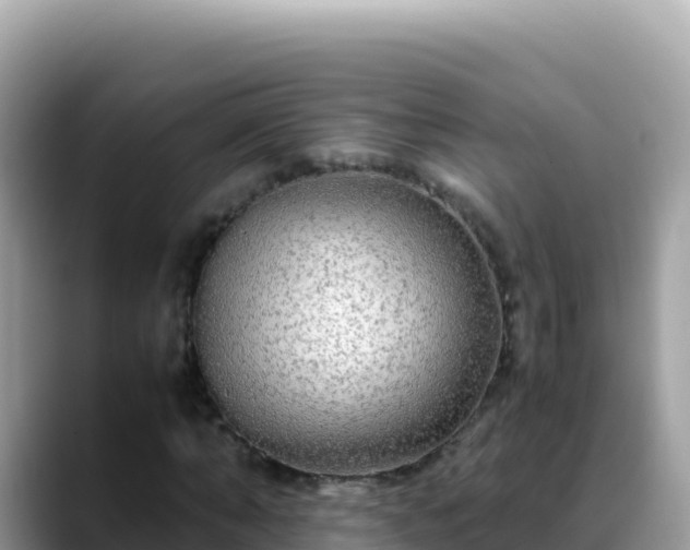 X0000088720870200706071618
