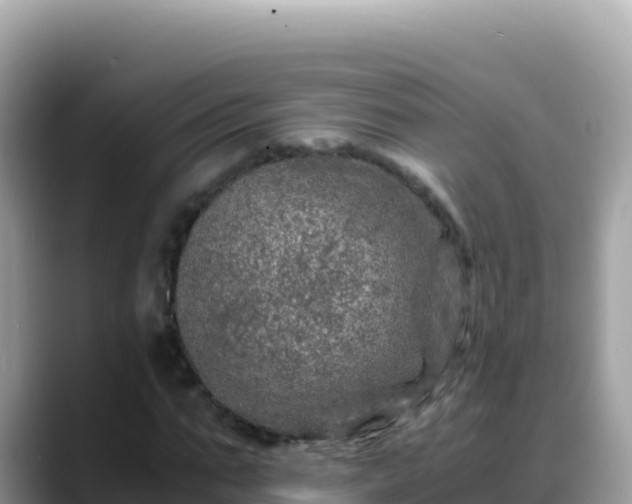 X0000088720871200706071618