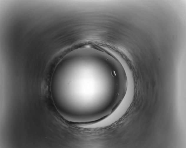 X0000088720872200706071618