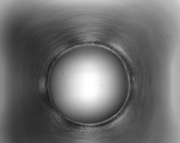 X0000088720873200706071618