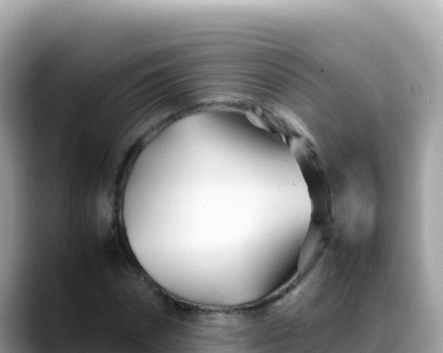X0000088720874200706071618