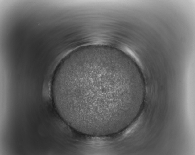 X0000088720875200706071618