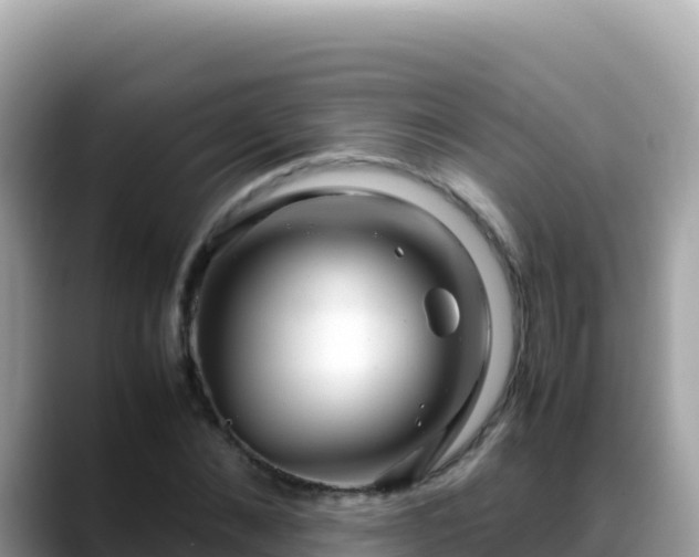 X0000088720876200706071618