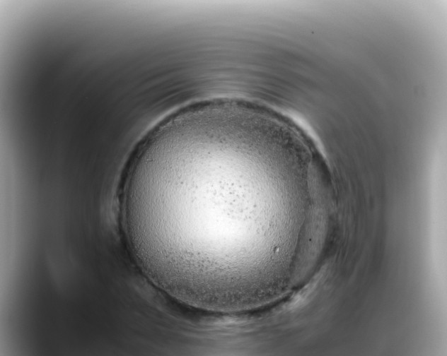 X0000088720879200706071618