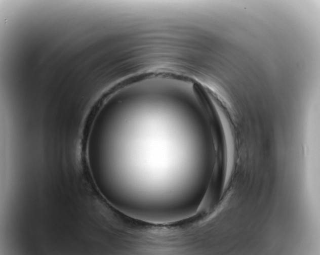 X0000088720880200706071618