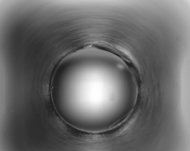 X0000088720881200706071618