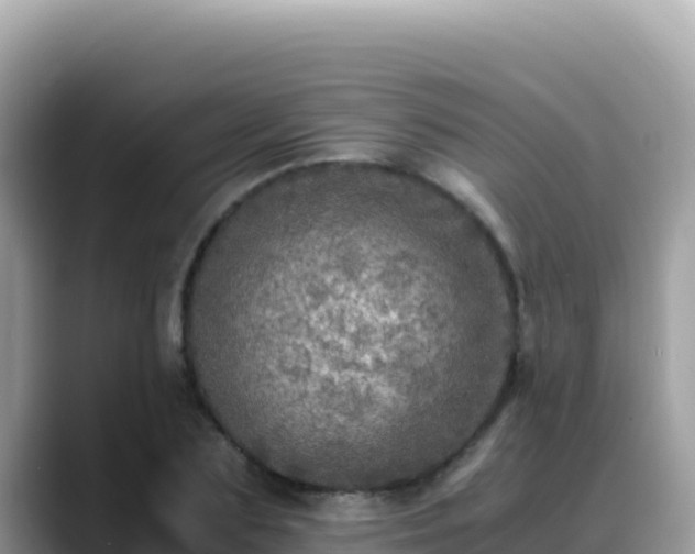 X0000088720883200706071617