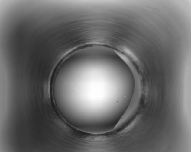 X0000088720884200706071617