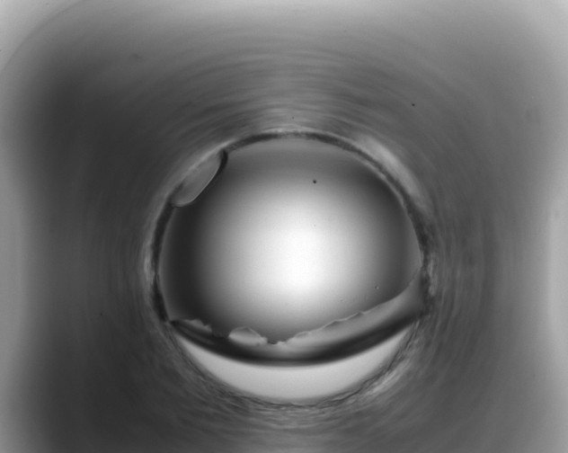 X0000088720885200706071617