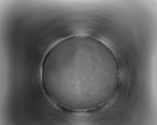 X0000088720886200706071617