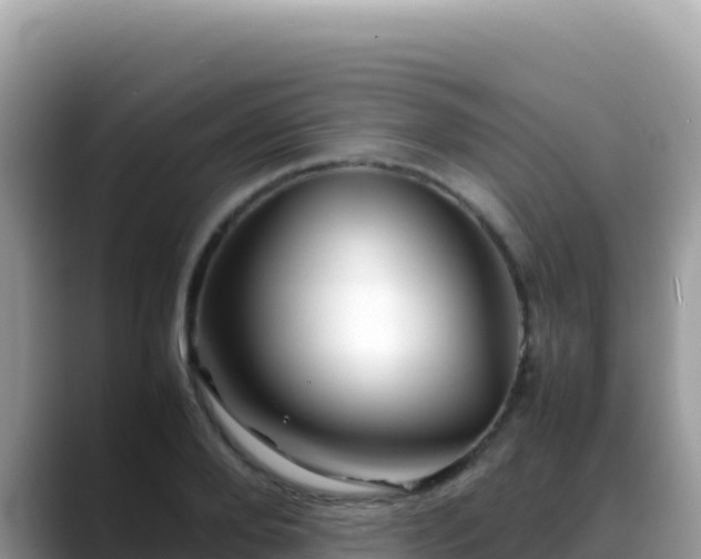 X0000088720888200706071617
