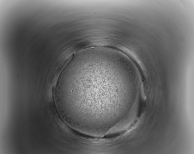 X0000088720889200706071617