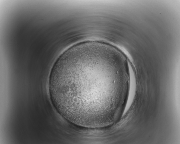 X0000088720895200706071617