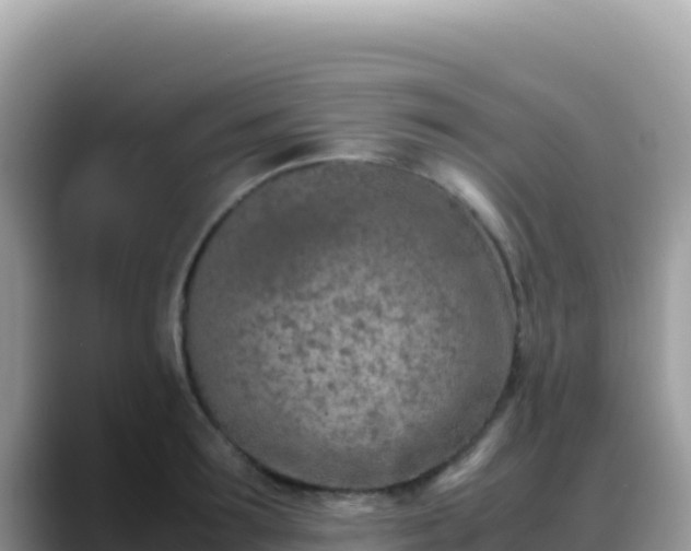 X0000088720899200706071617