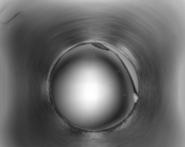 X0000088720900200706071617