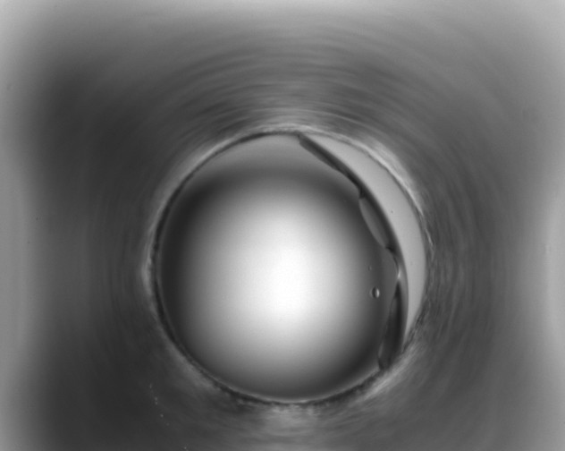 X0000088720901200706071617